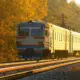 old passenger train moves through forest dawn
