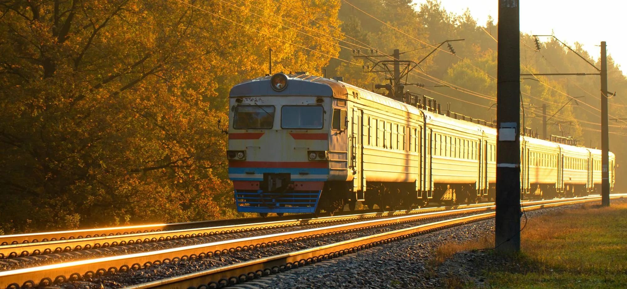 old passenger train moves through forest dawn